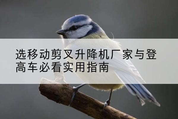 城口电动升降机厂家-选移动剪叉升降机厂家与登高车必看实用指南