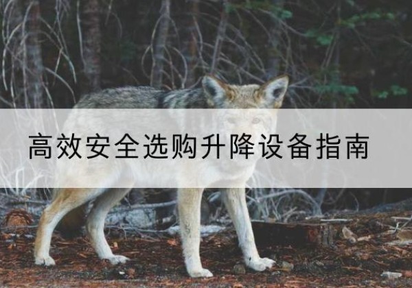 城口升降货梯厂家推荐-*安全选购升降设备指南
